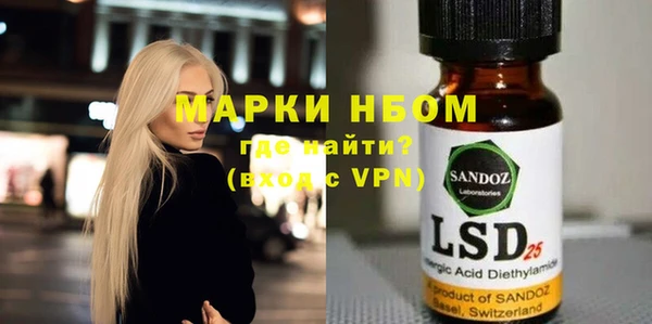 хмурый Алексин