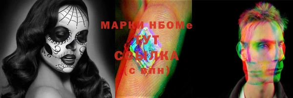 хмурый Алексин