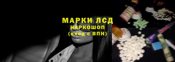 хмурый Алексин