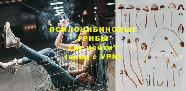 бошки Няндома
