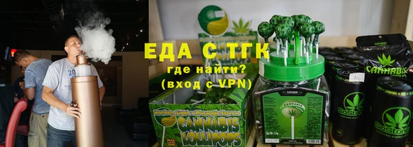 хмурый Алексин